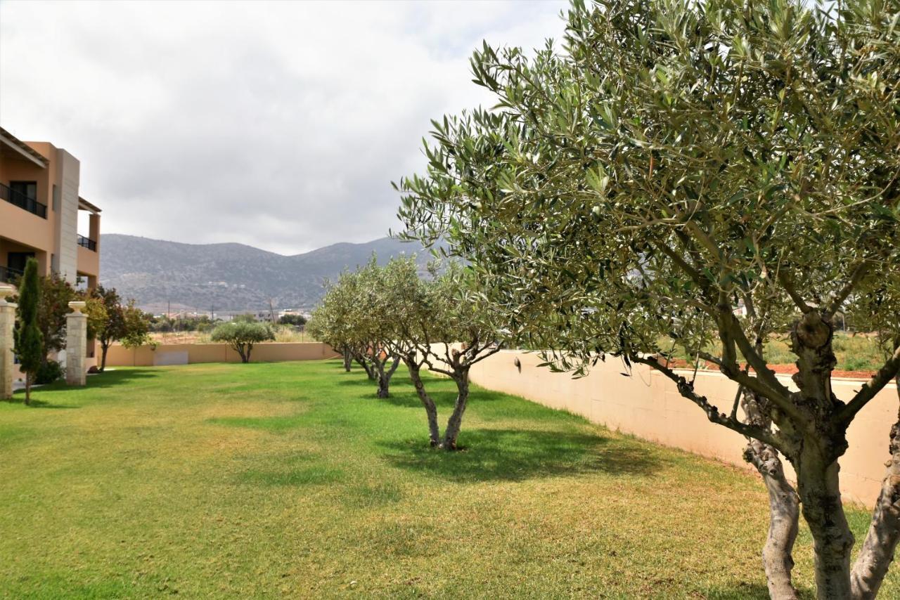 Golden Bay Hotel Apartments Malia  Bagian luar foto