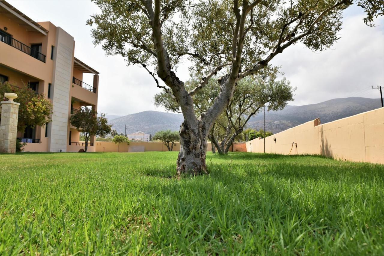 Golden Bay Hotel Apartments Malia  Bagian luar foto